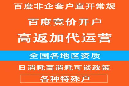 竞价广告的投放策略与效果评估——以一成功企业为例
